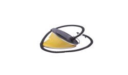 THE GUARDIAN CENTINEL